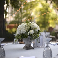 Grill & Grape Bonnycastle Garden Night